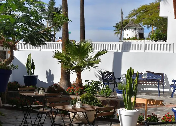 Auberge de jeunesse Endless Summer (adults Only) Costa Adeje (Tenerife)