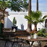 Endless Summer (adults Only) *