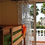 Endless Summer (adults Only) אכסניה