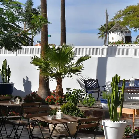 Albergue Endless Summer (adults Only) Costa Adeje (Tenerife)